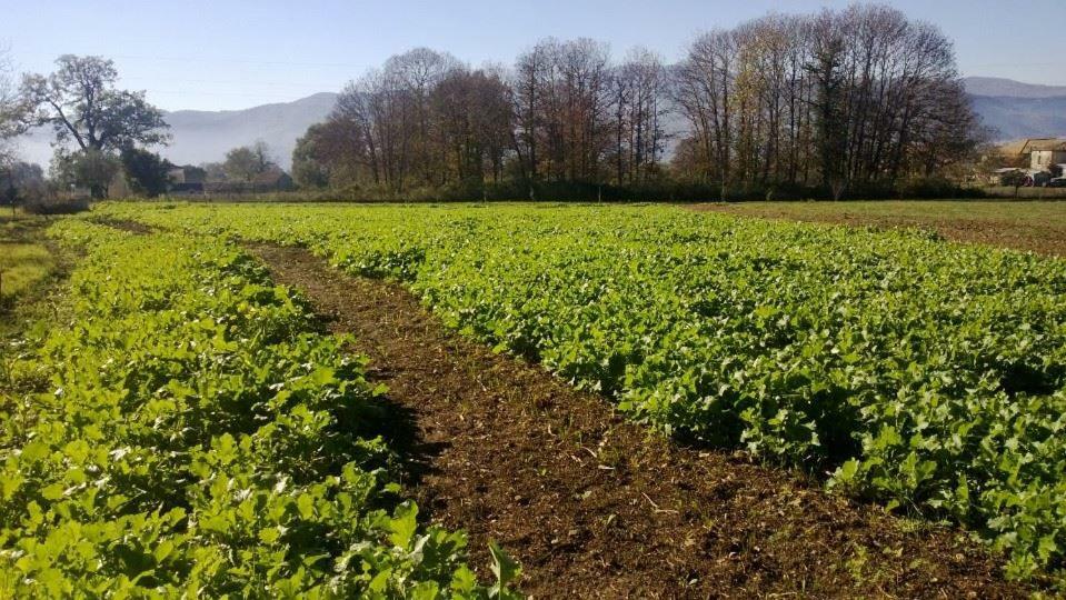 Agriturismo Tre Santi Villa Padula Kültér fotó