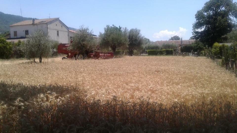 Agriturismo Tre Santi Villa Padula Kültér fotó