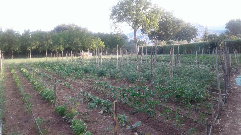 Agriturismo Tre Santi Villa Padula Kültér fotó